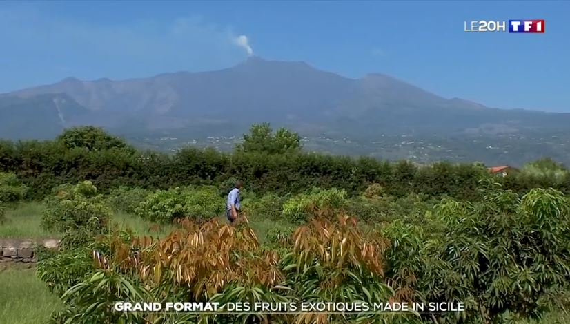 Intervista al prof. Giancarlo Polizzi