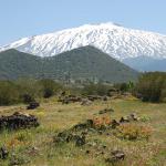 Etna Monte Ruvolo