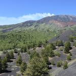 Etna Monti Sartorius