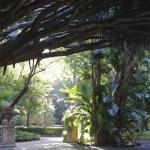 Orto Botanico