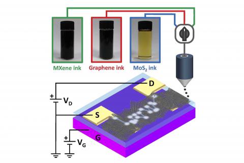 trasporto di elettricità in materiali bidimensionali stampati